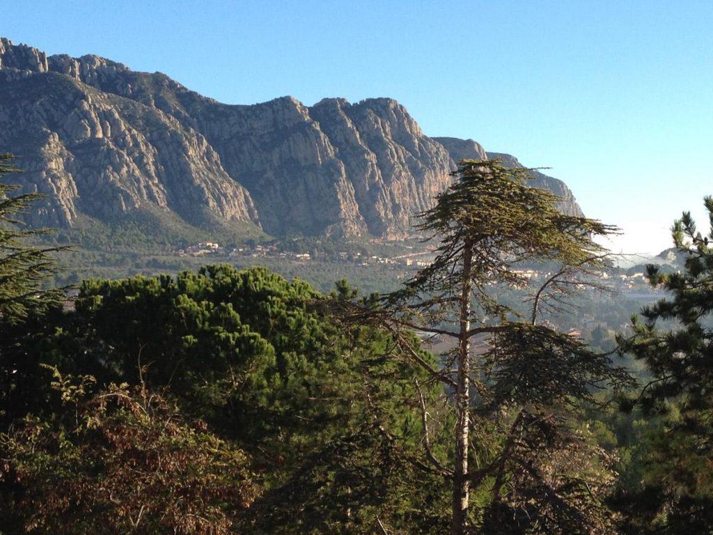 New Deal - Club - Collbató