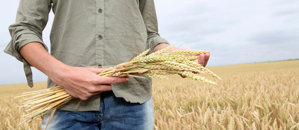 newdeal-0013-el-precio-de-confundir-la-causa-con-el-efecto