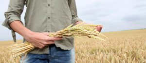 newdeal-0013-el-precio-de-confundir-la-causa-con-el-efecto