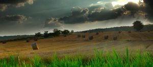 newdeal-0020-parcialmente-soleado-o-parcialmente-nublado