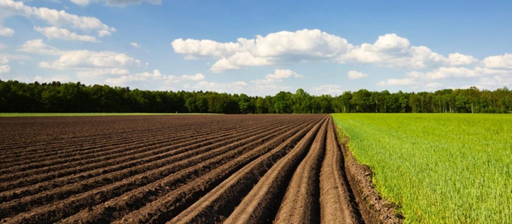 New Deal - Ya nadie sabe qué significa productividad