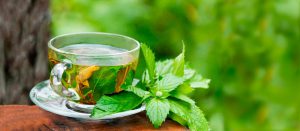 New Deal - 44 - Cien por cien natural