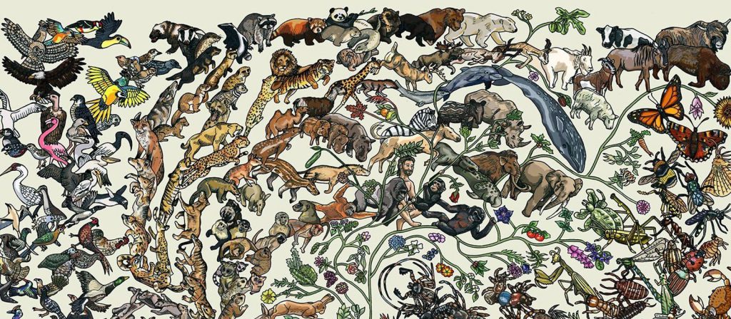 New Deal - 45 - Homeóstasis, para que nada cambie - parte 1