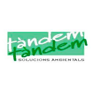 New Deal - Testimonio