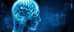 New Deal - 79 - La máquina más perfecta y compleja del universo, el cerebro - parte 2