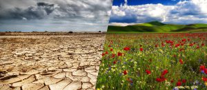 New Deal - 96 - ¿Tienes mentalidad de escasez o de abundancia?