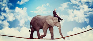 ¿Sabes cómo se come un elefante?